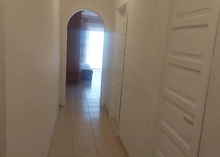 Ladybug Ocean View *