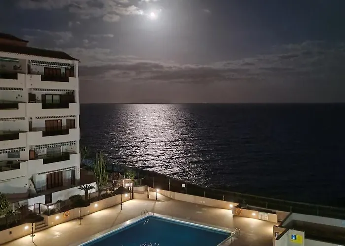 Ladybug Ocean View *