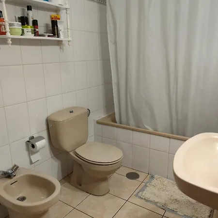 Ladybug Ocean View *