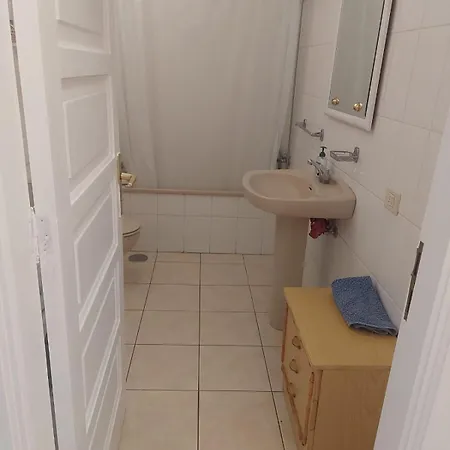 Ladybug Ocean View *