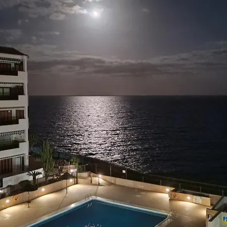 Ladybug Ocean View *