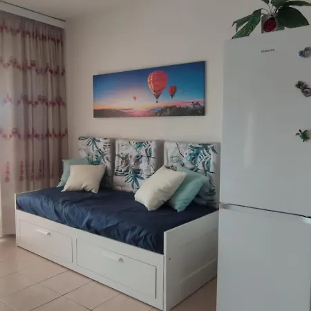 Ladybug Ocean View