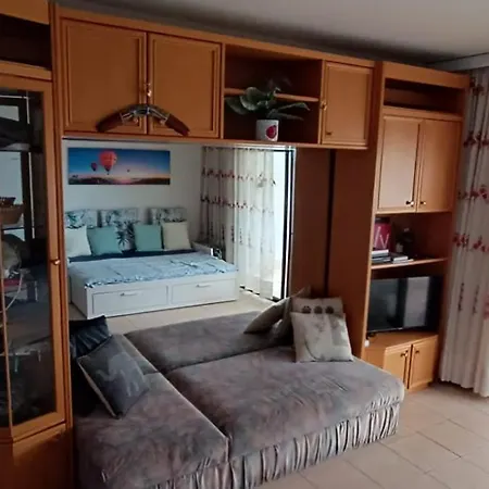 Ladybug Ocean View *